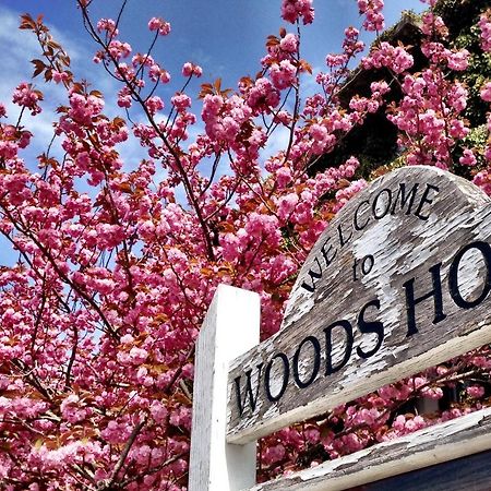 Treehouse Lodge Woods Hole Eksteriør bilde