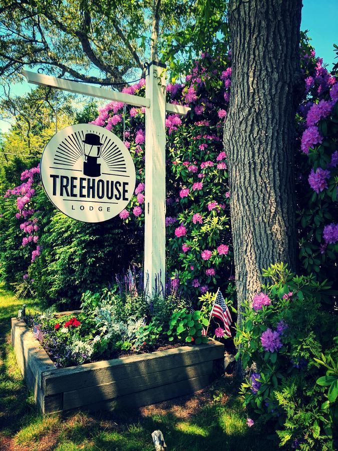 Treehouse Lodge Woods Hole Eksteriør bilde