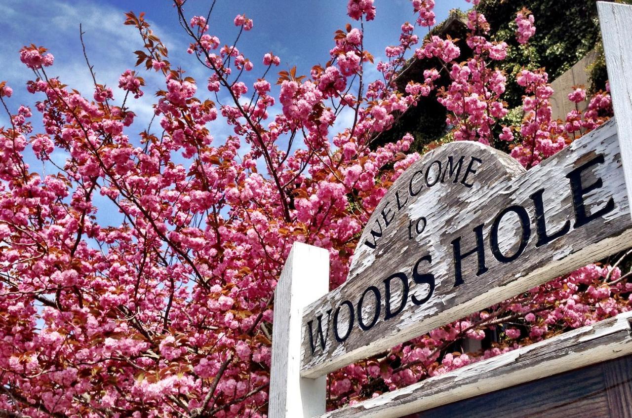 Treehouse Lodge Woods Hole Eksteriør bilde